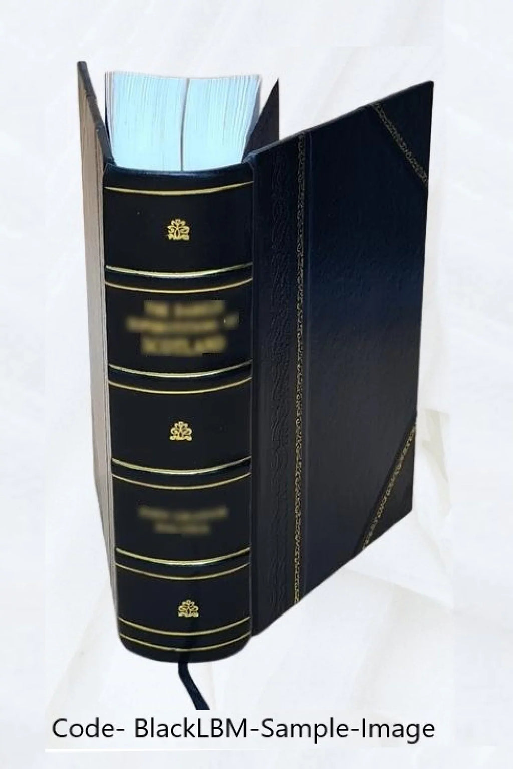 Cinderella three hundred and forty-five variants of Cinderella, Catskin, and Cap o'Rushes 1893 [Leather Bound]