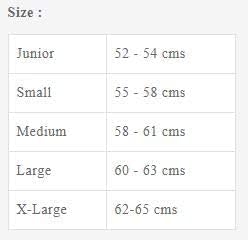 Shrey Classic Steel Cricket Helmet Junior - Adult Senior