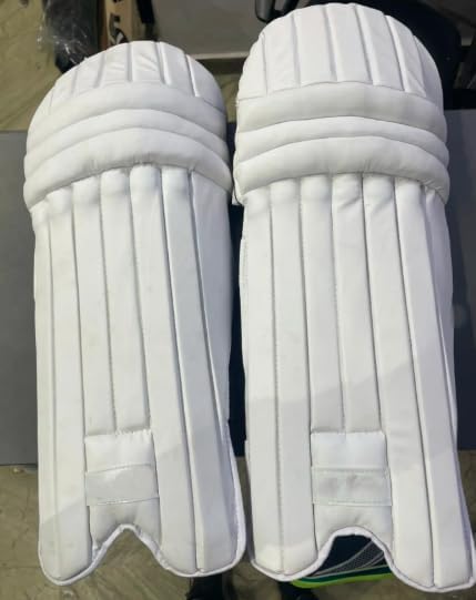 REINDEER Kashmir Willow Cricket Kit â Includes Professional Bat, Leg Guards, Batting Gloves, Helmet, and Premium Kit Bag â Full Protection Equipment Set (Bat Size: 4) (Kids Height: 144-150 CMs)