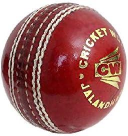CW Player Choice Kashmir Willow Cricket Kit Full Size Cricket Kit for Men Without Bat Adult Cricket Training & Match Quality Kit with Backpack Leather Ball Cricket Accessories