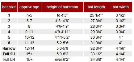 SS Ton Reserve Edition English Willow Junior Cricket Bat