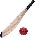 Cricket Practice Bat, Plain Kashmiri Willow, Wooden, Black Handle