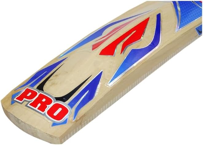 BDM Pro Kashmir Willow Wood Cricket Bat Adult Size
