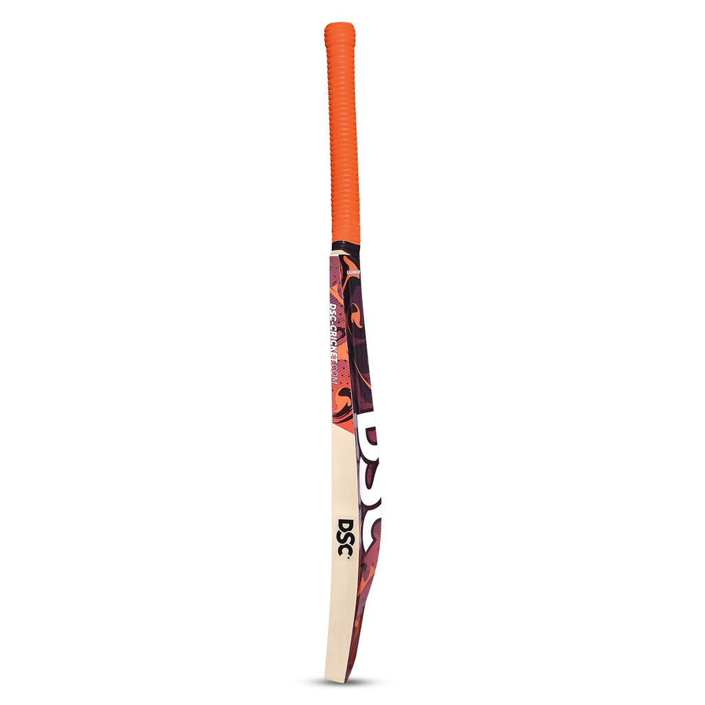 DSC Kashmir Willow Cricket Bat