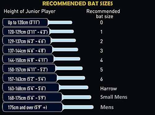 SS Ton Reserve Edition English Willow Junior Cricket Bat
