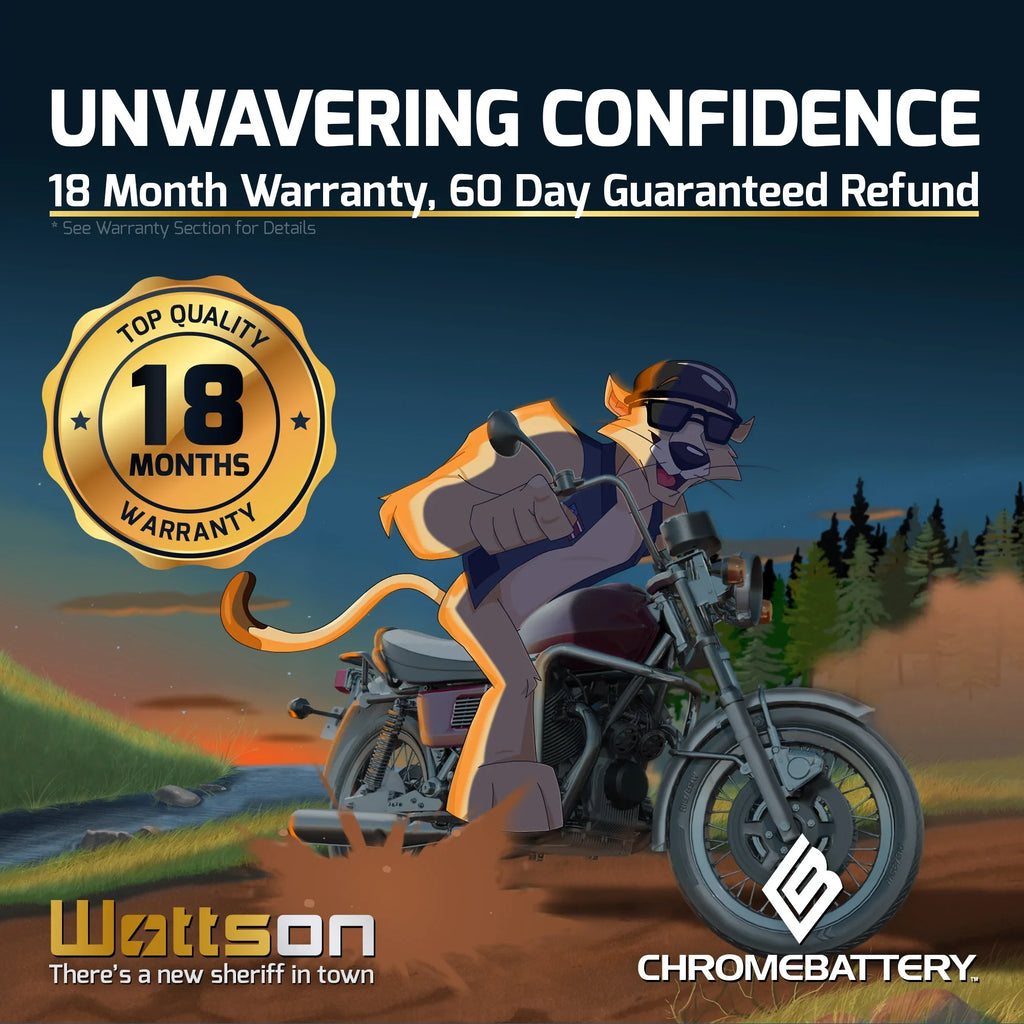Chrome Battery YTX16L-BS (16L-BS 12 Volt,14 Ah, 230 CCA) Jet Ski Battery for Yamaha Wave Runner 2002