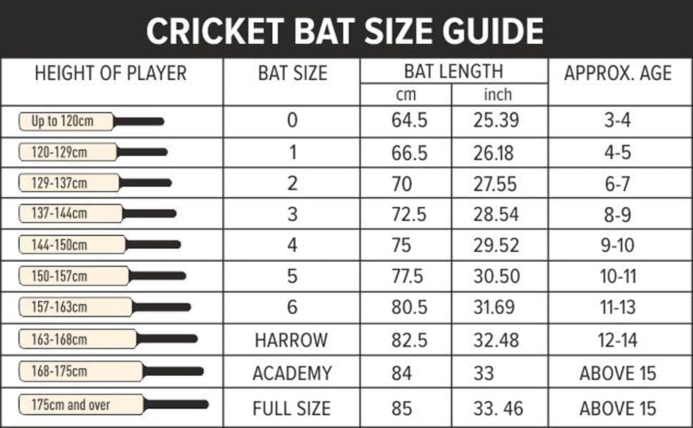 DSC Intense Force Kashmir Willow Cricket Bat for Leather Ball |Size-4 | Light Weight | Free Cover|