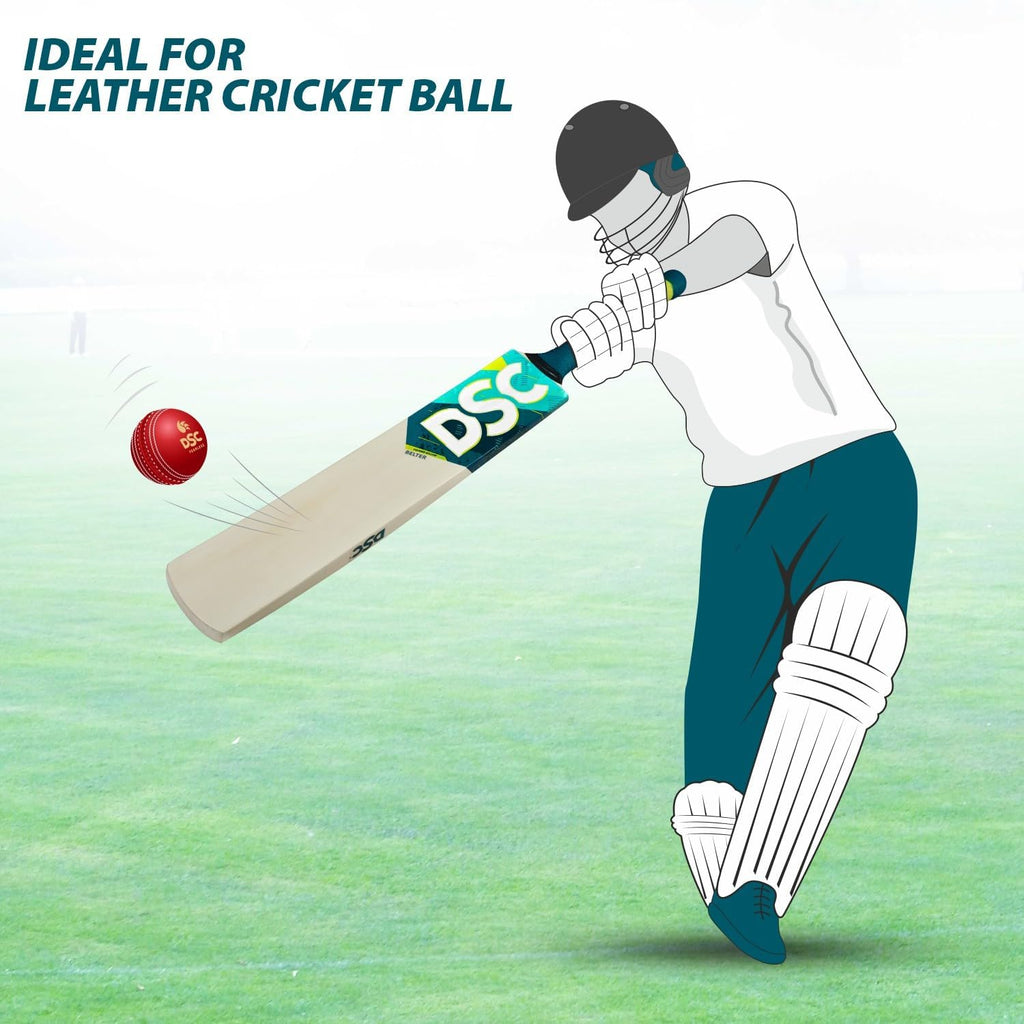 DSC Kashmir Willow Cricket Bat