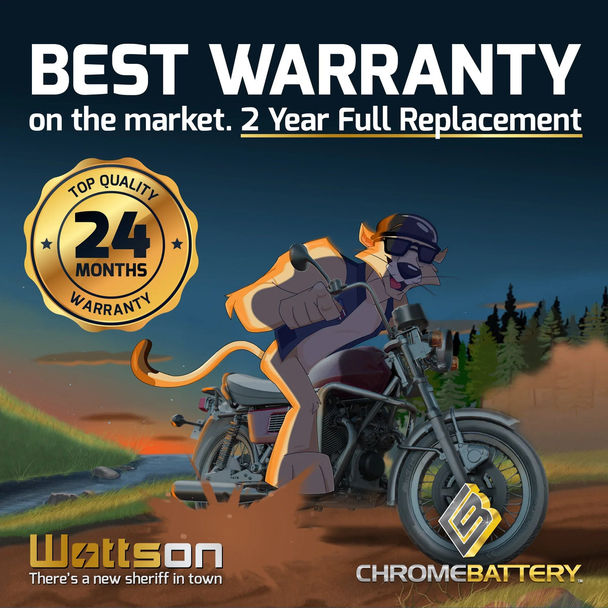 Chrome Battery YTX14AHL-BS (14AHL-BS 12 Volt,12 Ah, 210 CCA) Snowmobile Battery for Arctic Cat Cougar 1993
