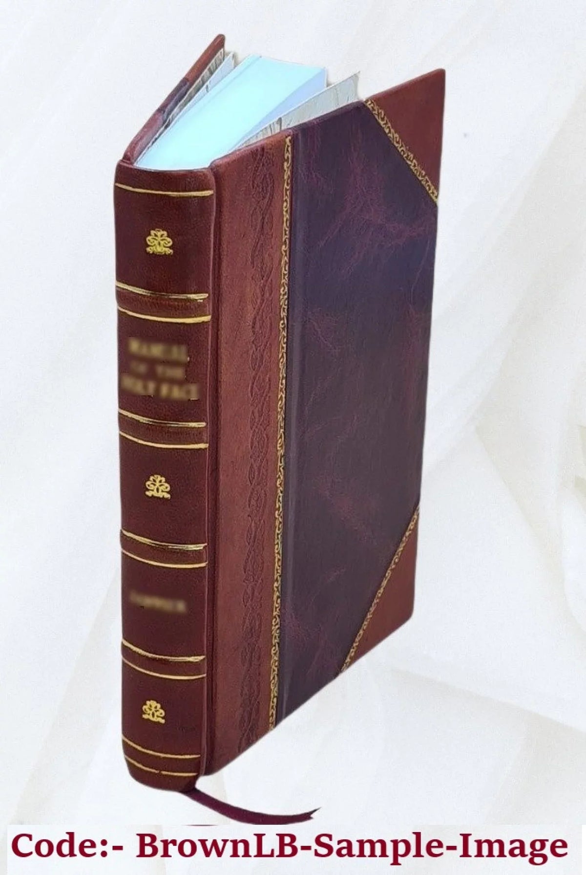 Miscellanies: prose and verse Volume 4 2020 [Leather Bound]